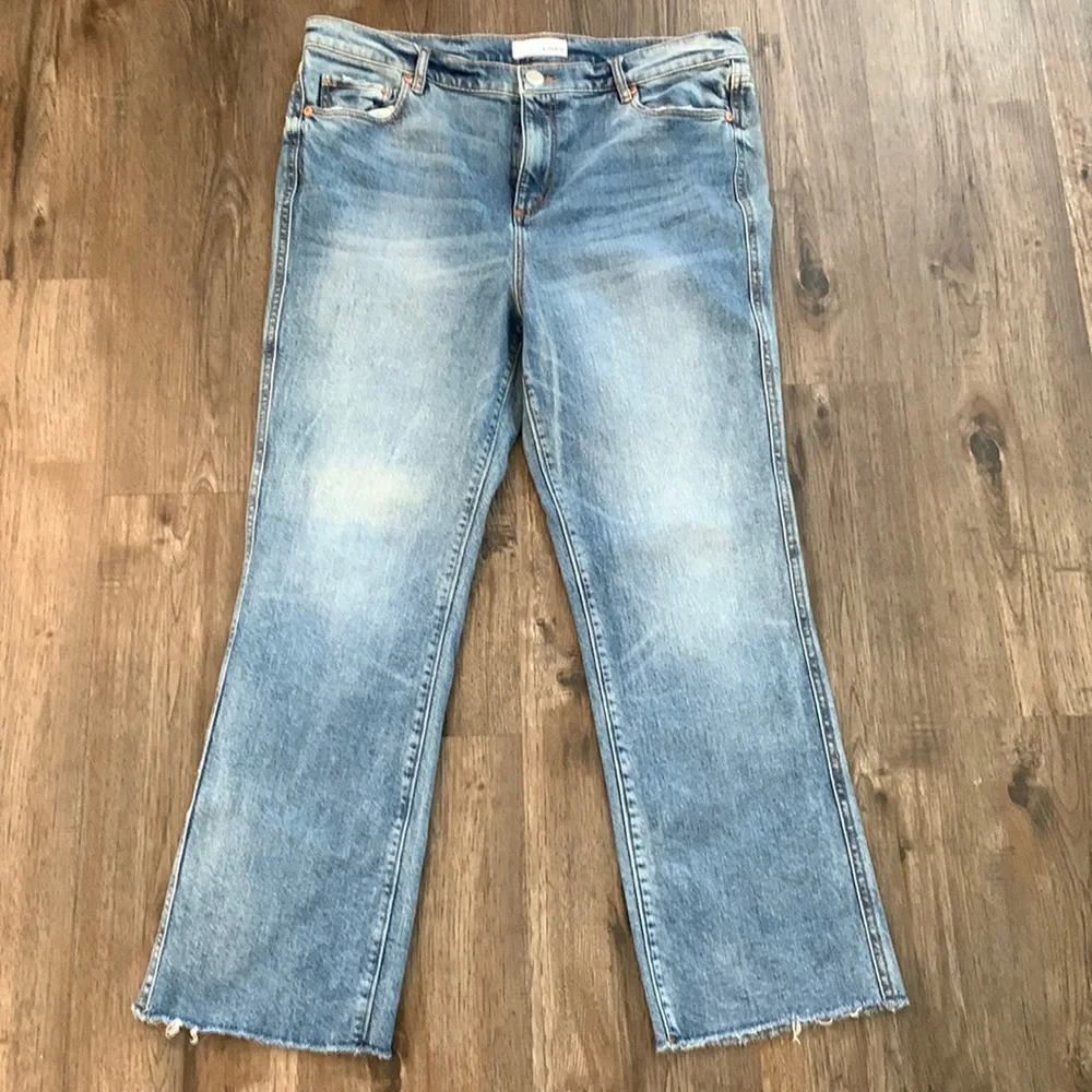 Ann Taylor Loft jeans size 10/30 - Picture 1 of 5